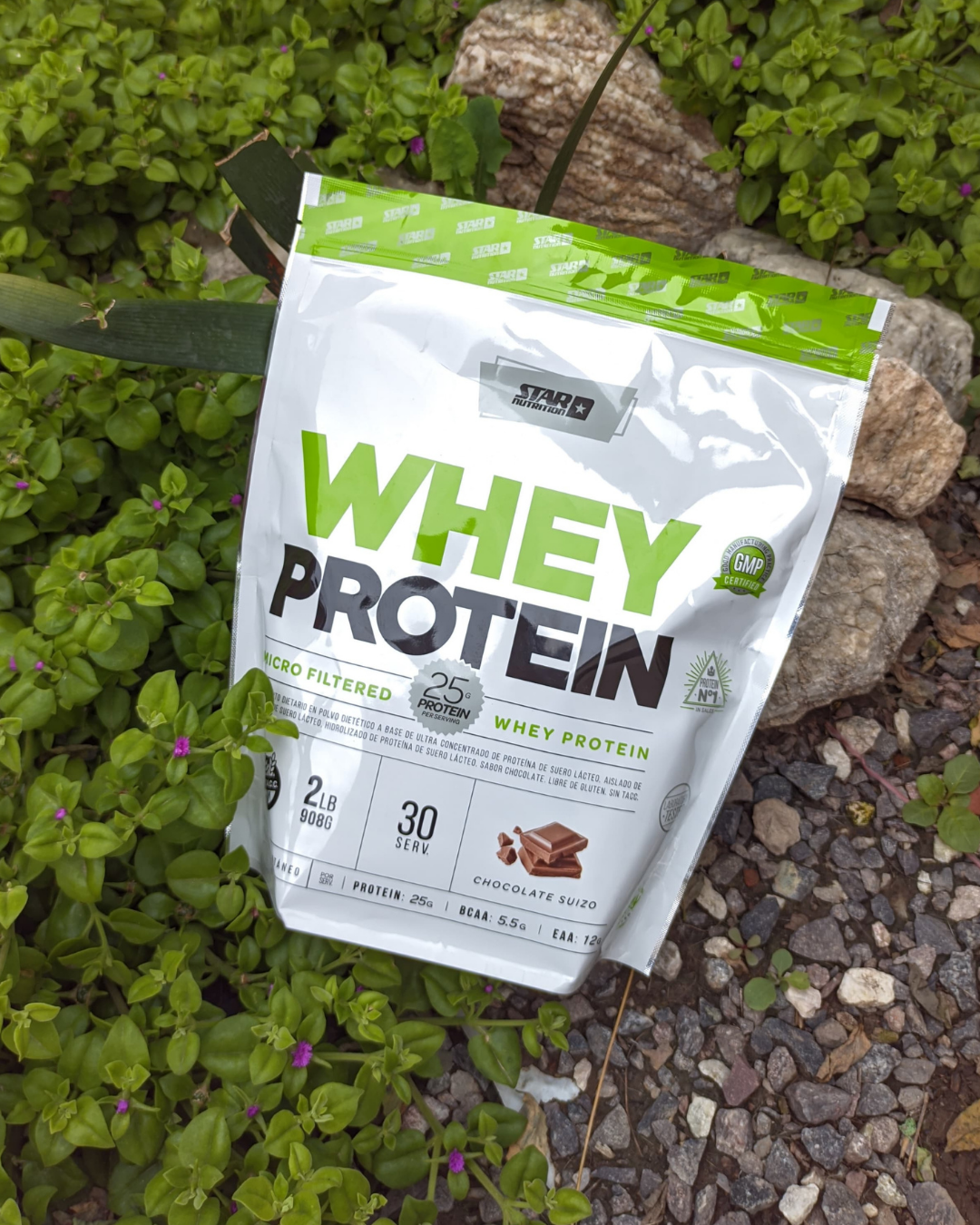 PLATINUM WHEY PROTEIN STAR NUTRITION 2lb (907gr) - Doypack