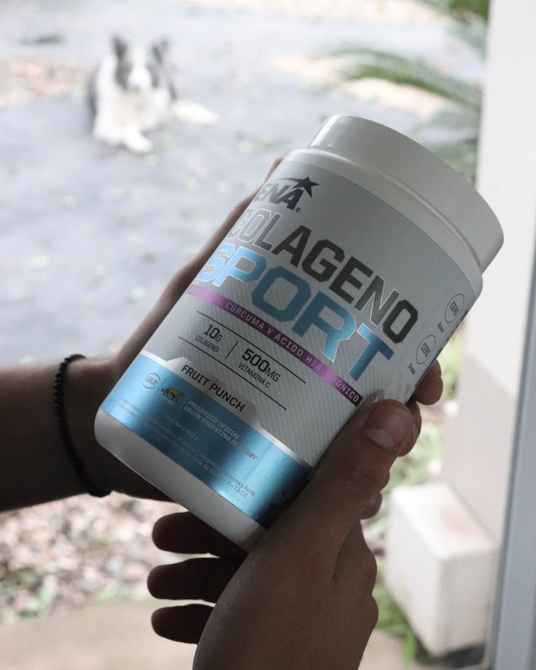 COLÁGENO SPORT ENA 407 Gr
