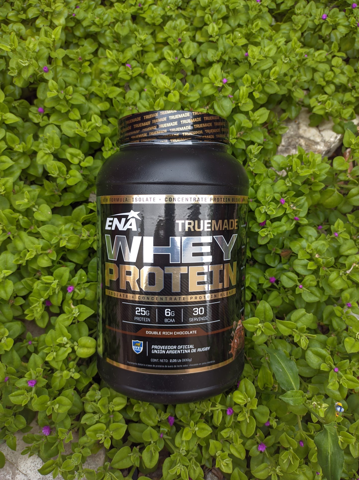 WHEY PROTEIN ENA TRUE 2,05 Lb (930gr)